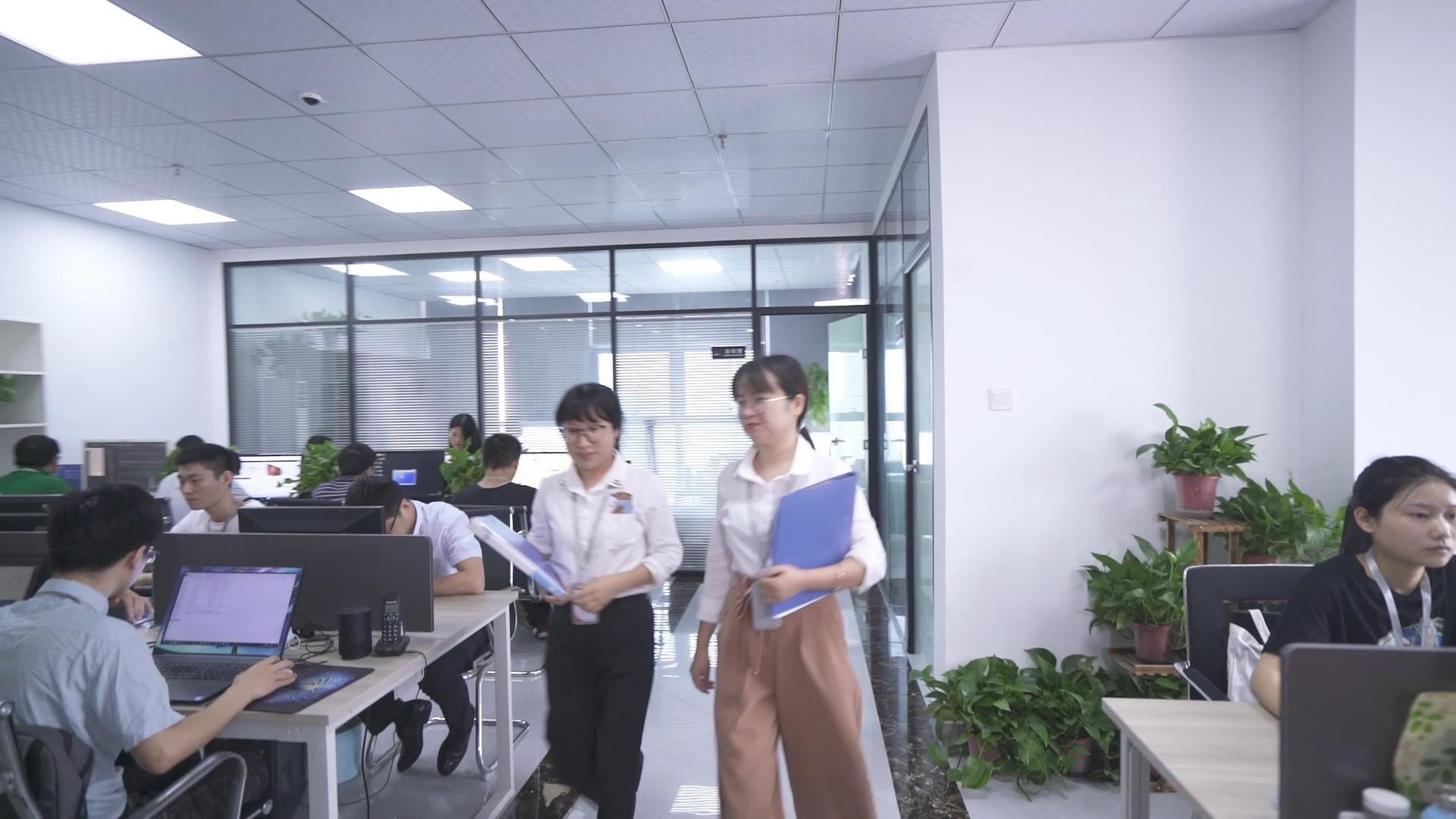 hth.com陪诊小程序开发怎么选？本土开发公司资质与定制服务详解